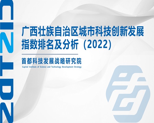 日逼打炮网【成果发布】广西壮族自治区城市科技创新发展指数排名及分析（2022）